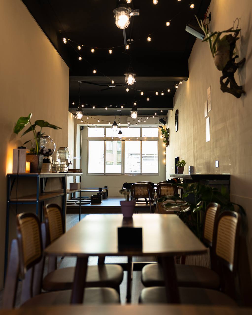螞蟻亂爬Antopia Café image 1